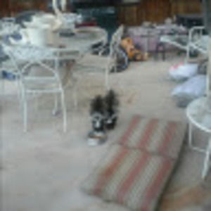 Meet your Posher, Claudio